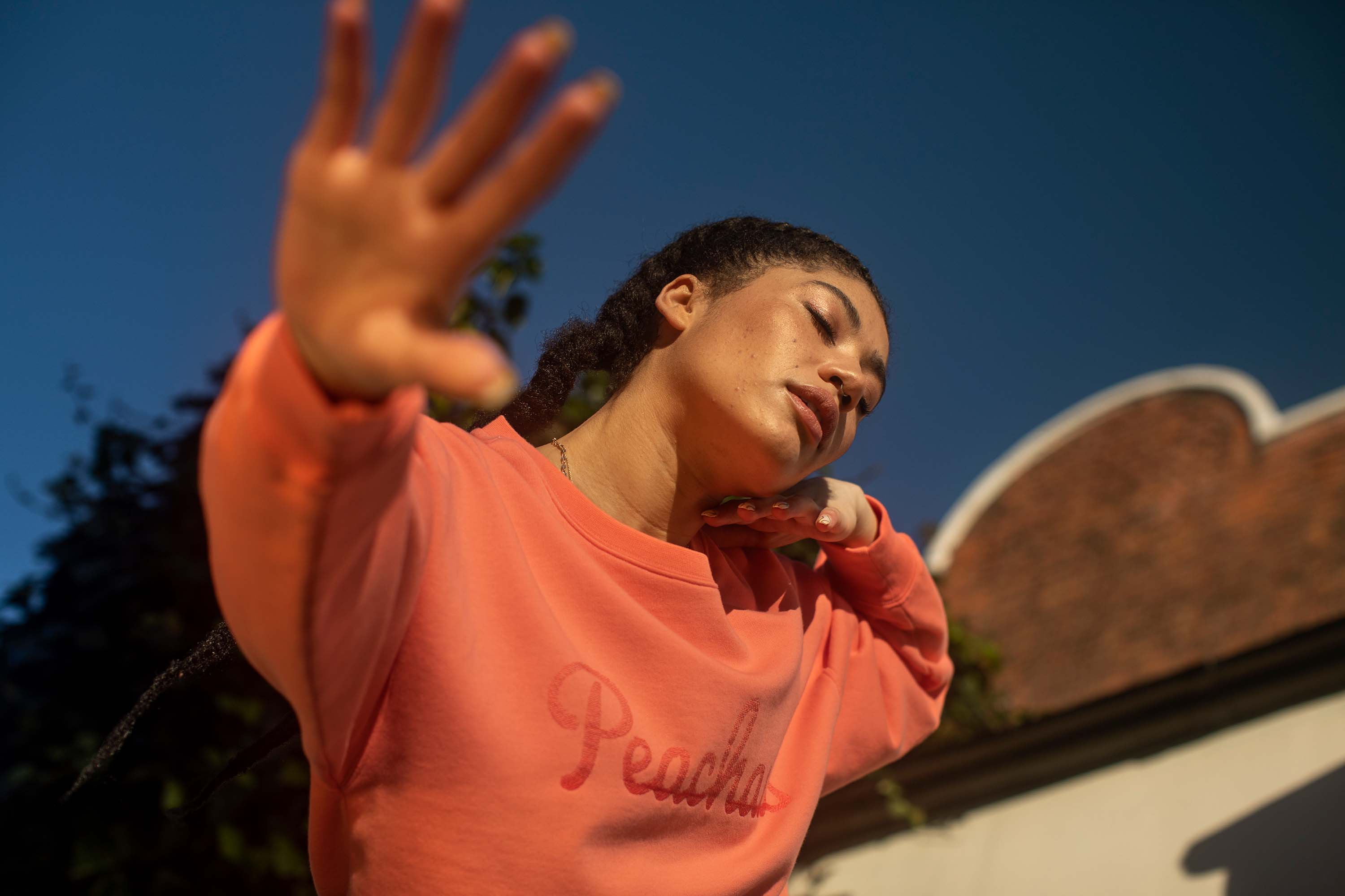 Introducing our Icons